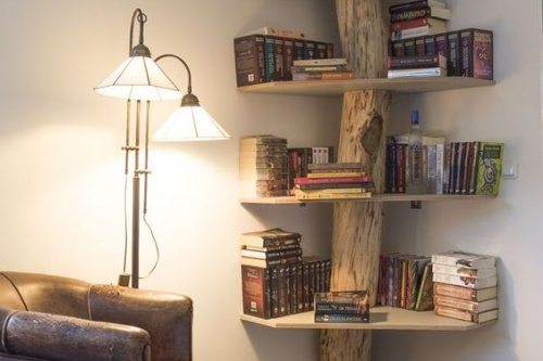 Bookshelf ideas