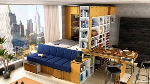 Small Apartment with loft bed