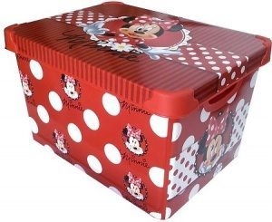 minnie mouse box