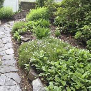 low budget front yard landscaping makeover ideas