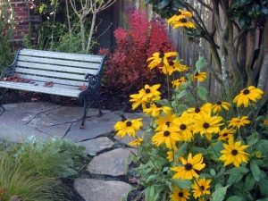 front yard landscaping ideas - low budget projects