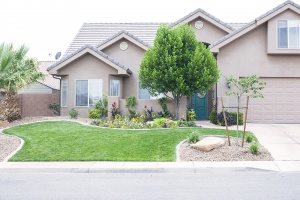 front yard landscaping cool ideas