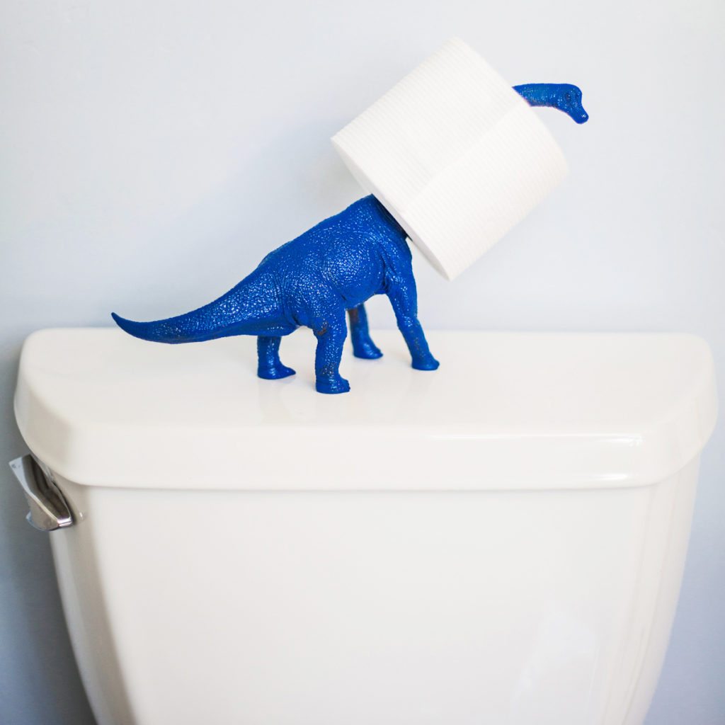 a best toilet paper holder ideas