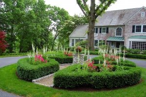 front-and-backyard-landscaping-HD-Images-1