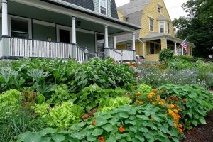 front-yard-edible-landscaping-ideas