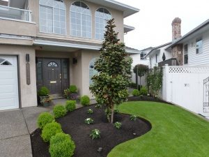 front-yard-makeover-3-18 (1)