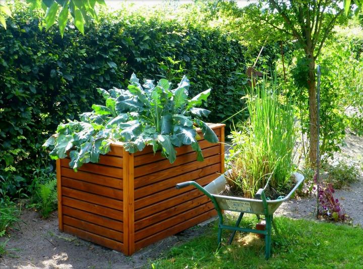  how to start a garden quickly