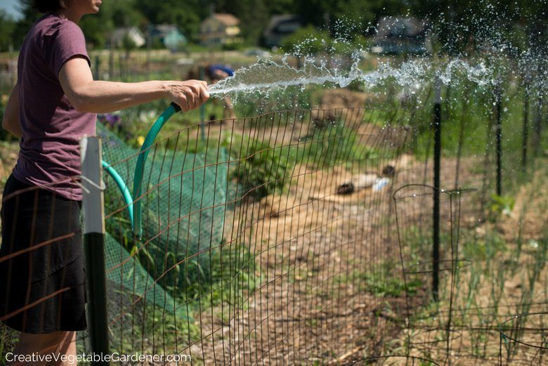  how to start a garden skilfully