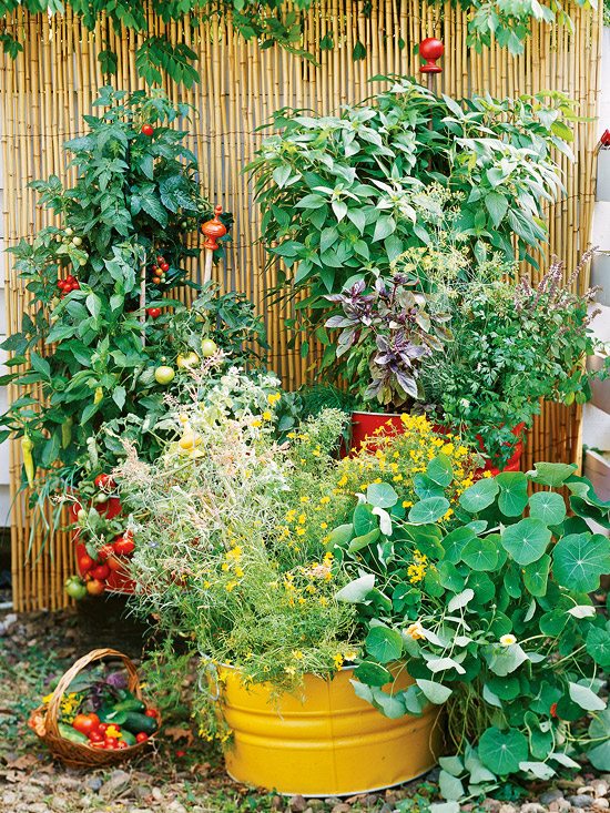  how to start a garden with ease