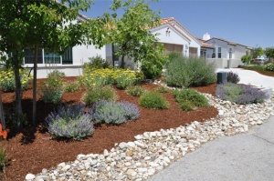 great-landscaping-ideas-for-front-yard-with-rocks