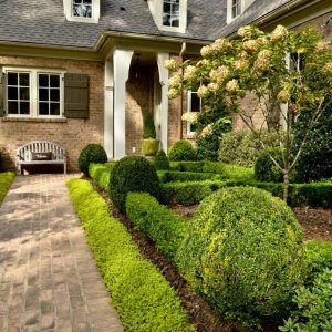 cool front yard design