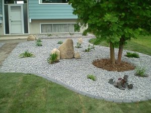 front yard landscape cool ideas