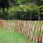 live-bamboo-fence-design-and-ideas-cooper-house-garden-loversiq-also-decoration-in-pictures-screen-800x532