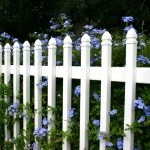 white picket fence with blue flowers