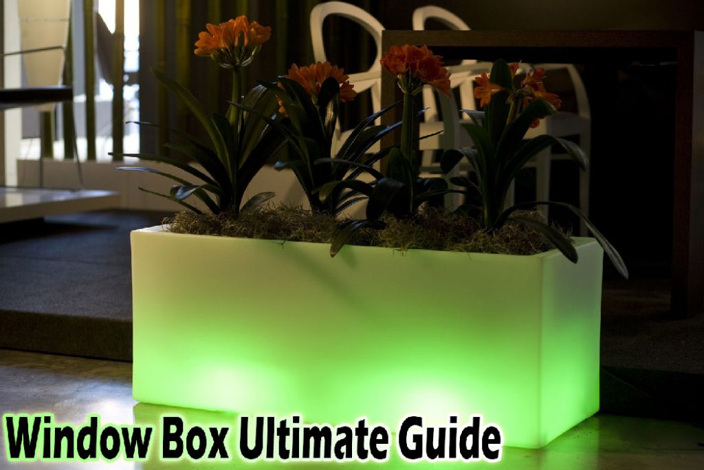 window box ultimate guide 2018