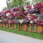 Privacy Fence Ideas-Fence to scrub their hands