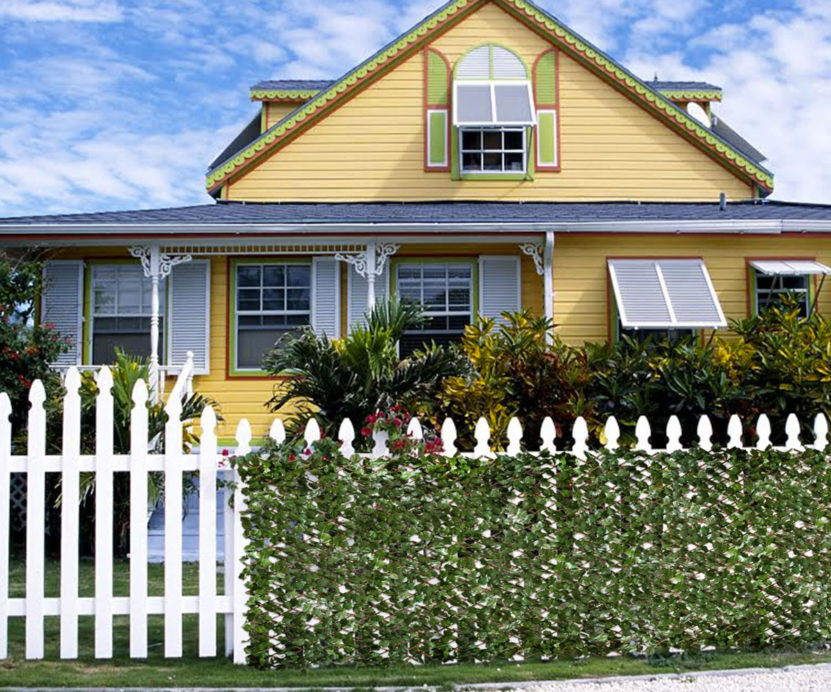 Privacy Fence Ideas-Ivy privacy fence