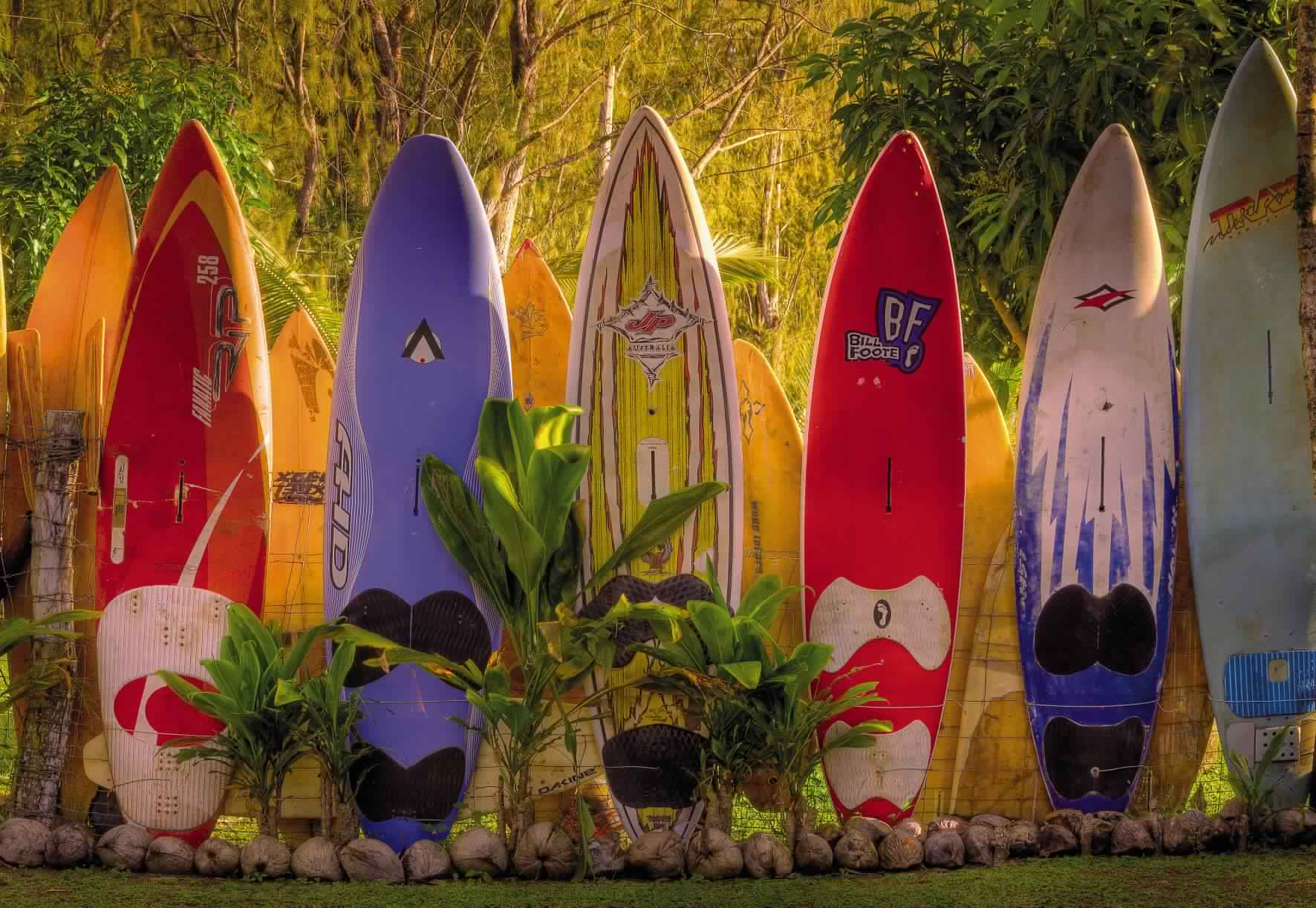 Privacy Fence Ideas-colorful surfboard fence