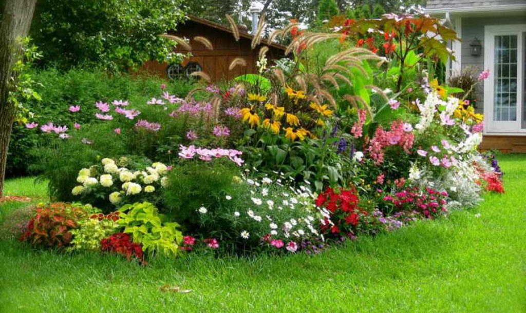 best home gardening ideas