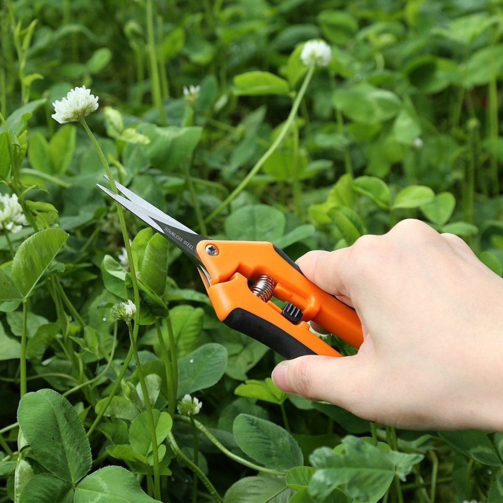 Precision gardening