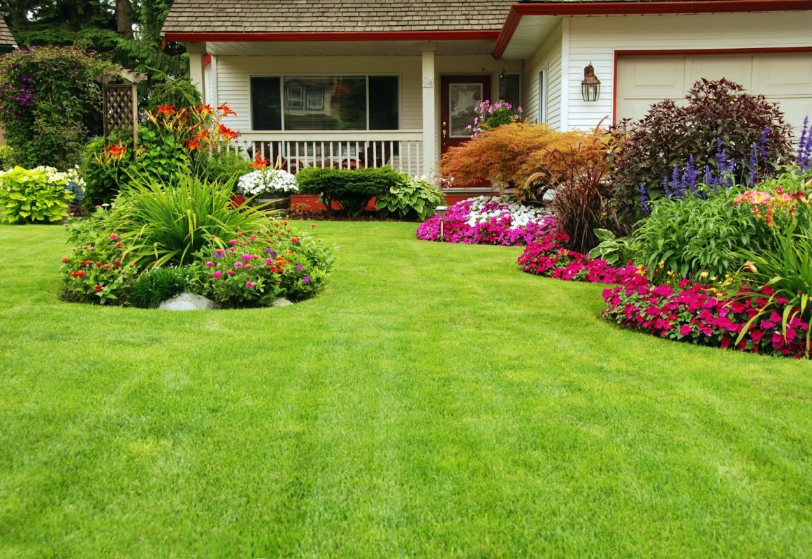 6 Fall tips for a great lawn in the spring